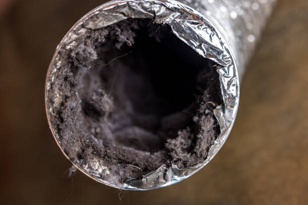 Best Local Air Duct Cleaning Services  in Haltom City, TX
