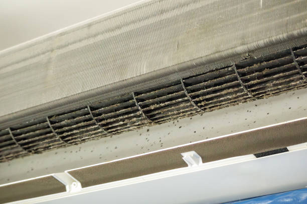 Best Affordable Duct Cleaning Services  in Haltom City, TX
